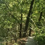 Tenuta Nissole * Rocchetta Tanaro