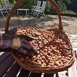 Tenuta Nissole Feriegård *