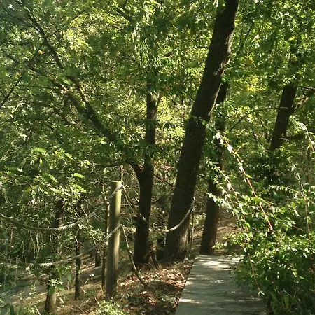 Tenuta Nissole * Rocchetta Tanaro