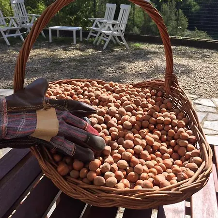 Tenuta Nissole Farm stay *
