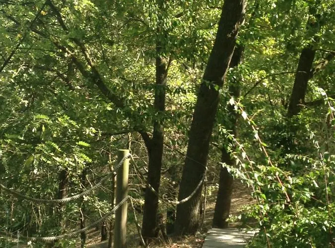 Tenuta Nissole * Rocchetta Tanaro